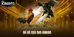 da-ga-cua-dao-king88-anh-dai-dien