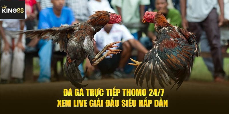 So luoc vai net ve da ga Thomo King88