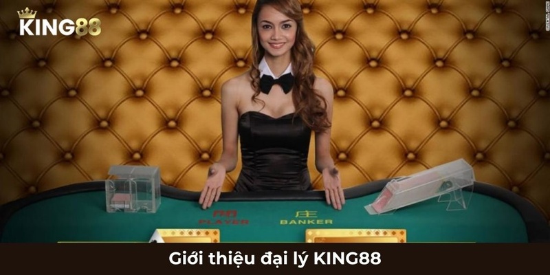 Doi net ve dai ly nha cai king88